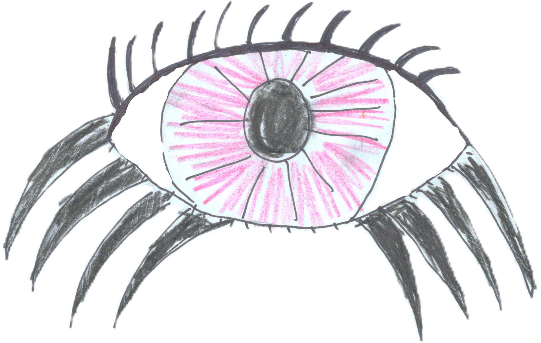 Eyeder